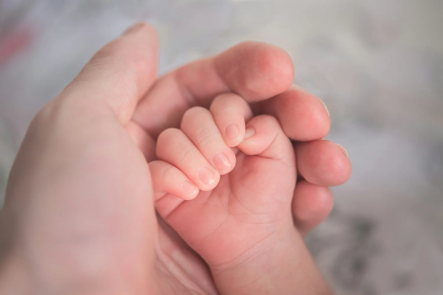 An adult’s hand holding a baby’s hand.